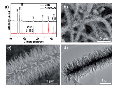 圖1：（a）CdS納米帶與CdS/ZnO樹枝狀異質結的XRD峰對比。（b）低倍數SEM下觀測到的CdS/ZnO樹枝狀異質結。（c）（d）分別對應SEM和TEM下觀測到的CdS/ZnO樹枝狀異質結。