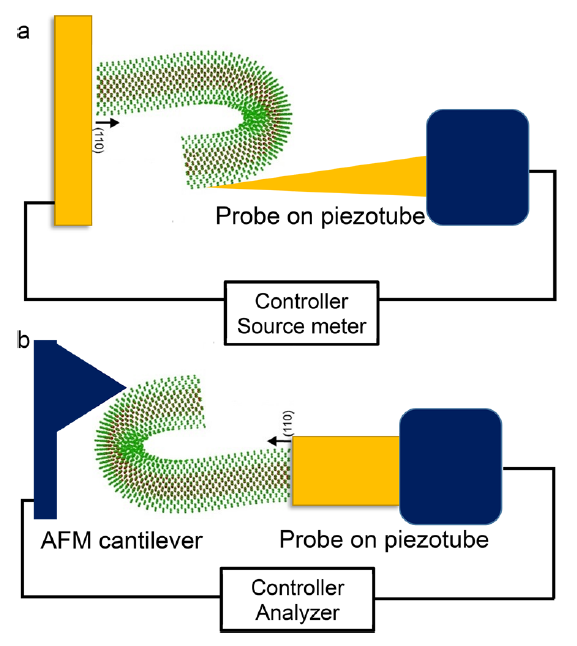 PicoFemto原位力學(xué)-電學(xué)樣品桿實(shí)驗(yàn)原理圖