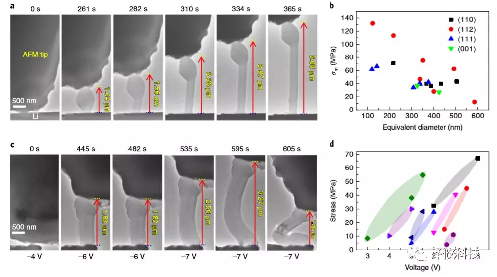 鋰晶須生長的原位AFM-ETEM成像以及在施加電壓下同時測量鋰晶須的應力變化。
