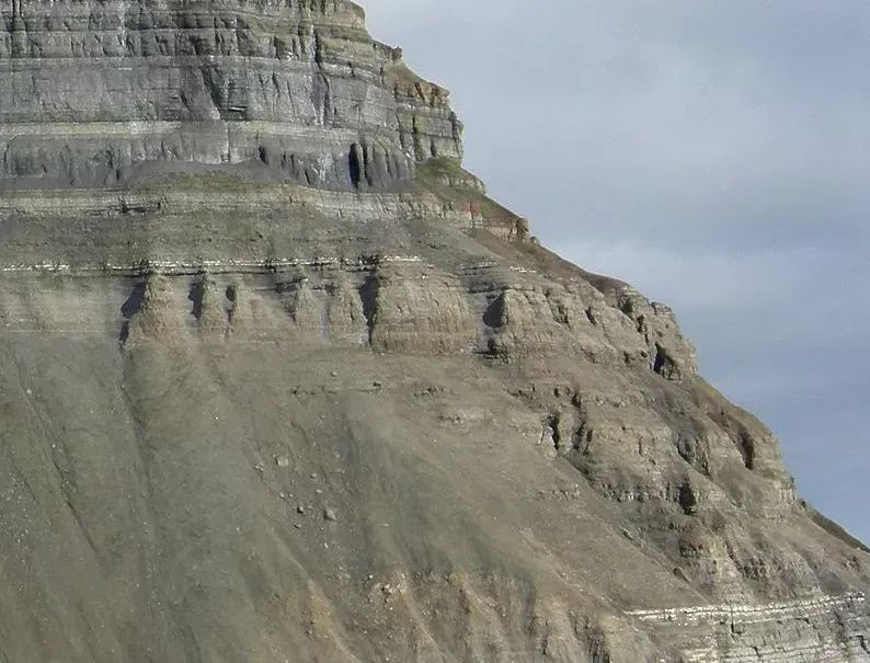 沉積層序