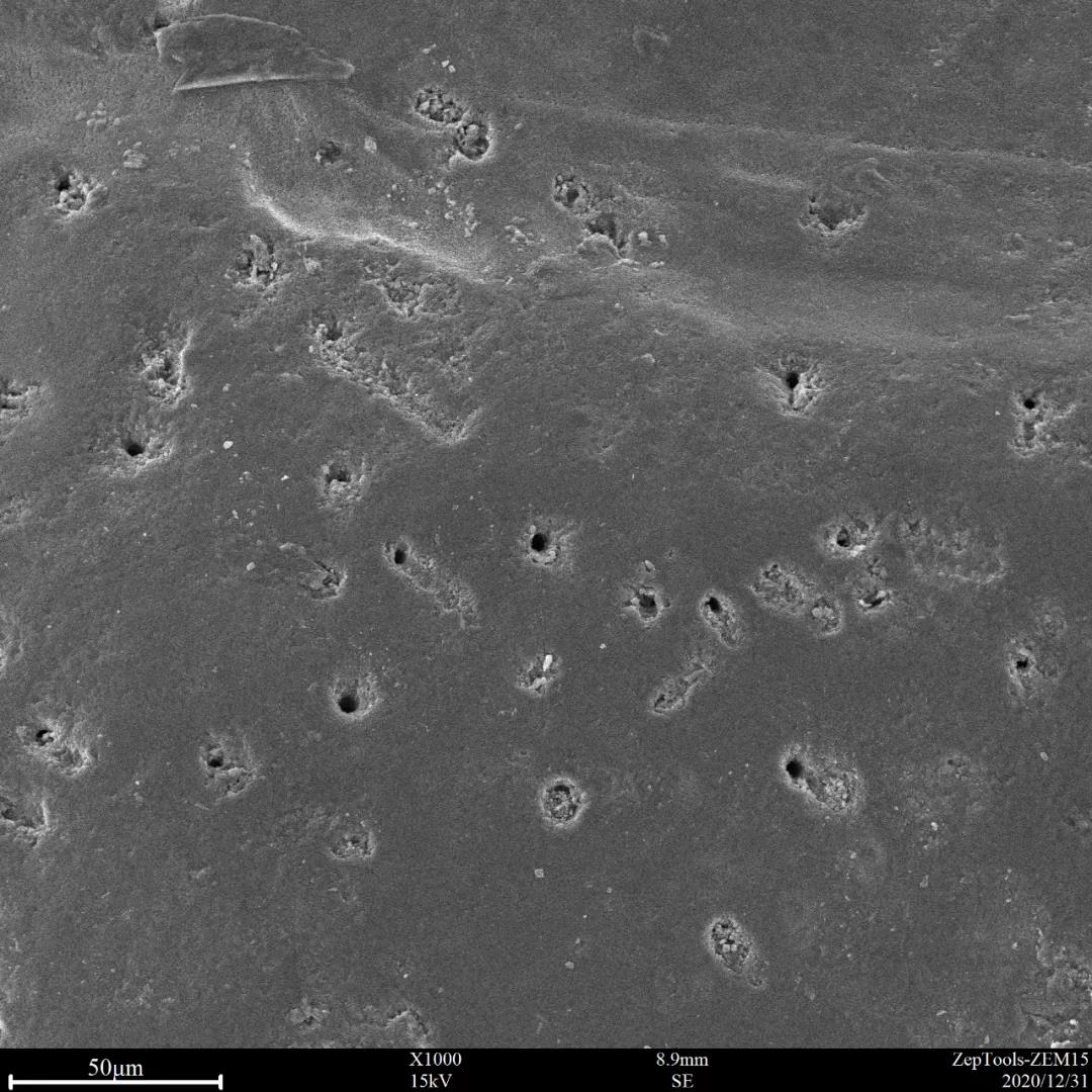 臺式掃描電鏡1000倍下可以看到一些孔洞結構